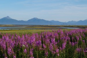 AlaskaAtAGlance201505