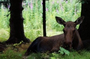 AlaskaAtAGlance201507