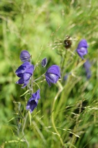 AlaskaAtAGlance201510