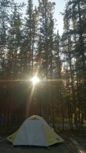 DenaliNationalParkAK00